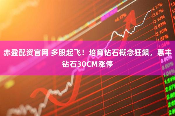 赤盈配资官网 多股起飞！培育钻石概念狂飙，惠丰钻石30CM涨停