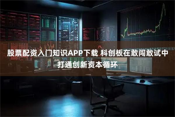 股票配资入门知识APP下载 科创板在敢闯敢试中打通创新资本循环